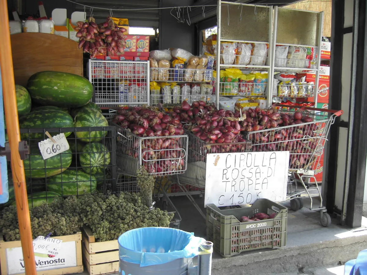 Cipolla rossa Tropea ricette: dieci piatti tipici da provare