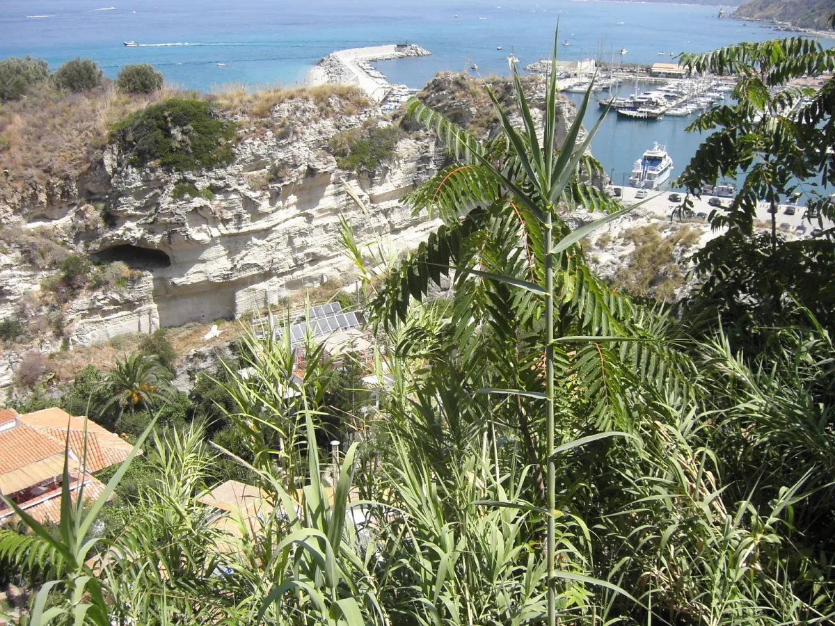 Eventi a Tropea ottobre 2026: programma e date da non perdere